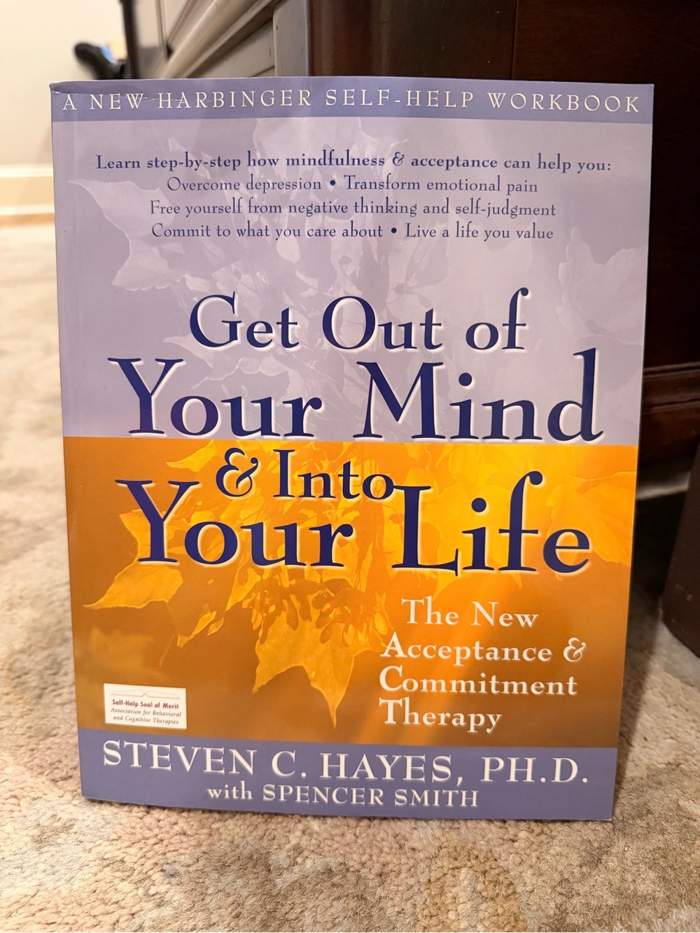 Steven C. Hayes Get Out of Your Mind & Into Your Life - Lavender and Gold
